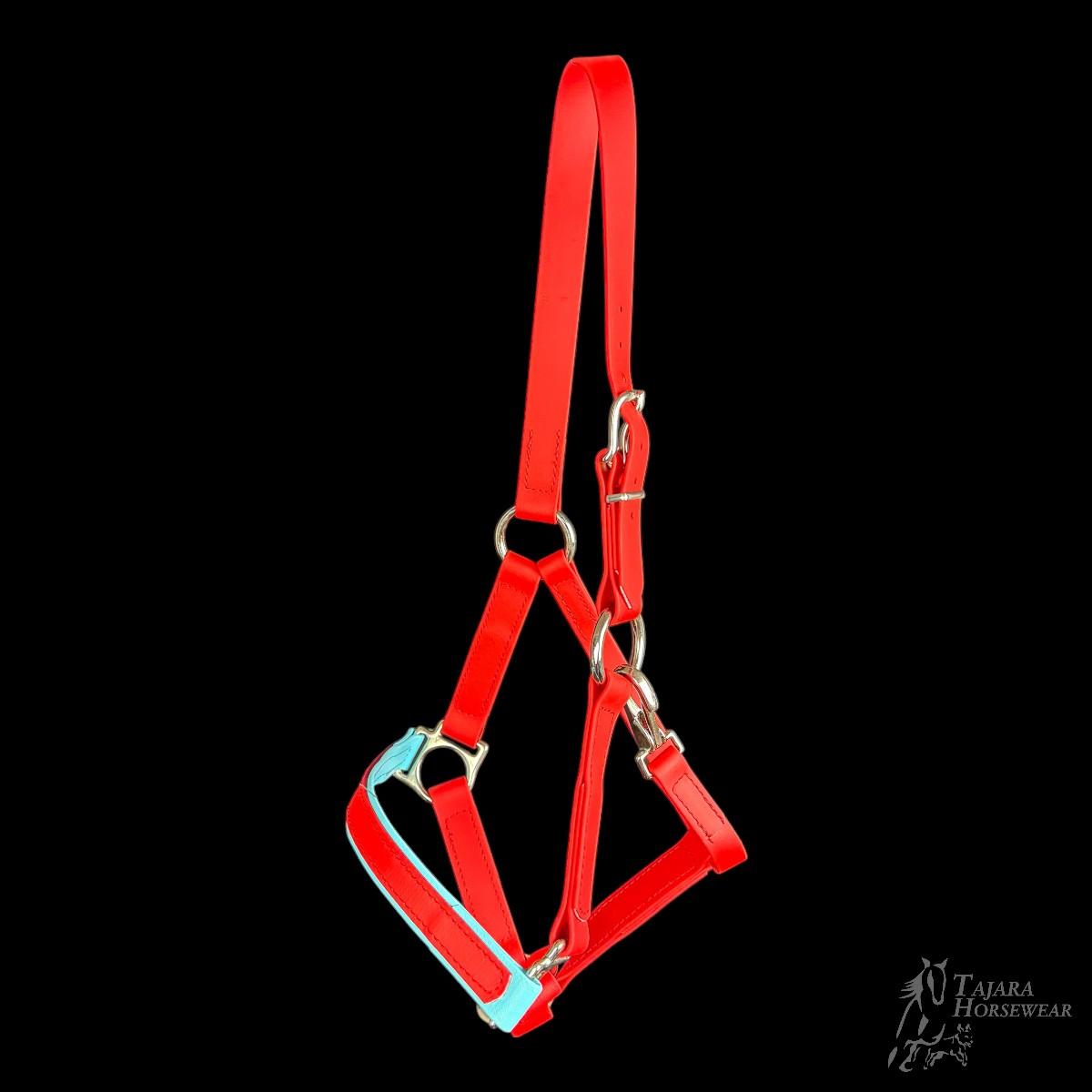 G-Pony einfaches Halfter (AH23-1311)
